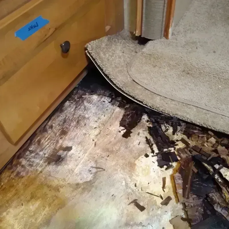 Best Wood Floor Water Damage Service in Coupeville, WA